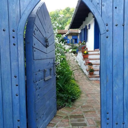 Casa Anca Cheile Nerei Villa Sokolar Buitenkant foto