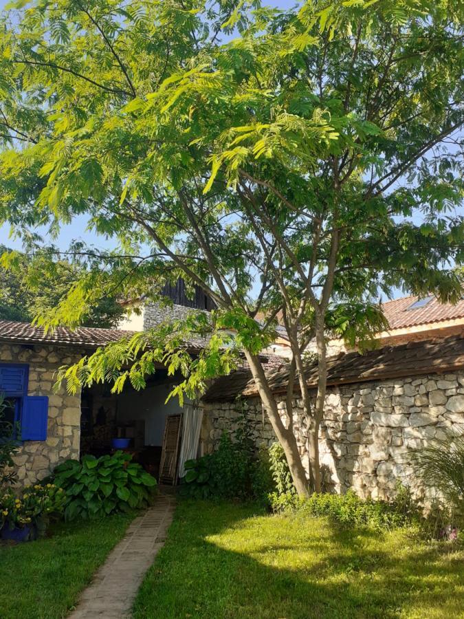 Casa Anca Cheile Nerei Villa Sokolar Buitenkant foto