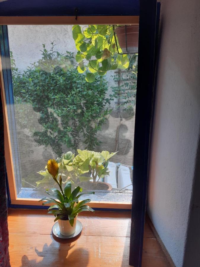 Casa Anca Cheile Nerei Villa Sokolar Buitenkant foto
