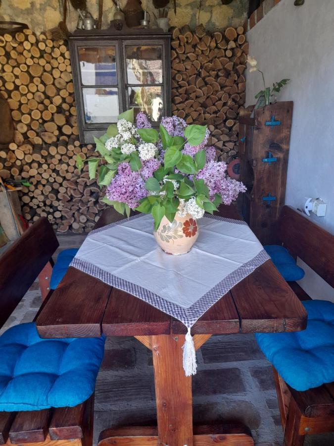 Casa Anca Cheile Nerei Villa Sokolar Buitenkant foto