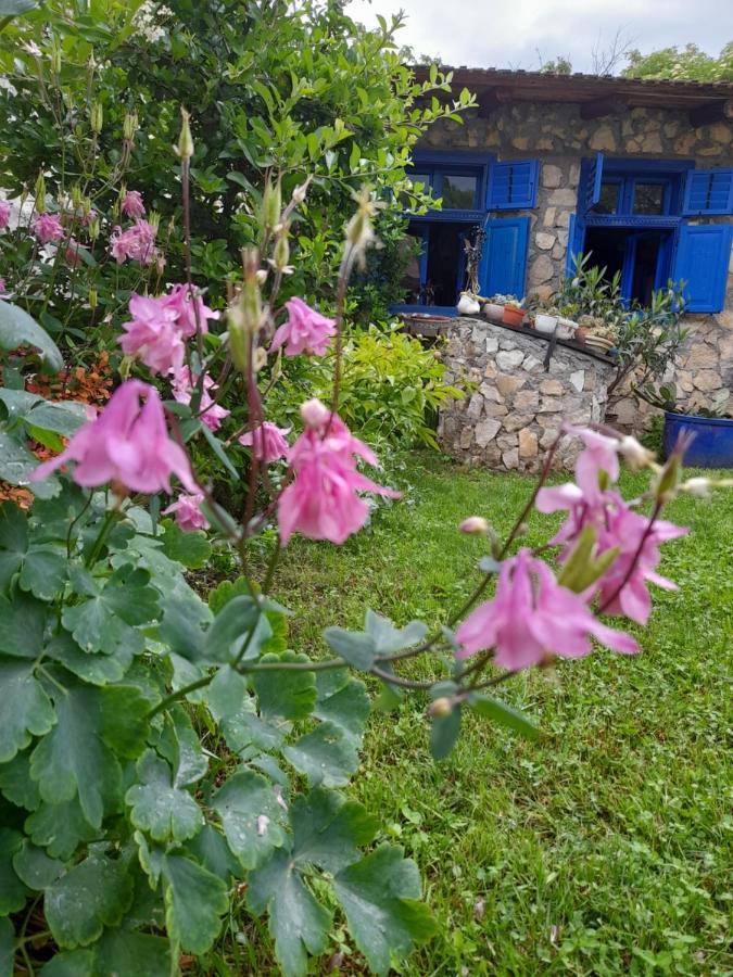 Casa Anca Cheile Nerei Villa Sokolar Buitenkant foto