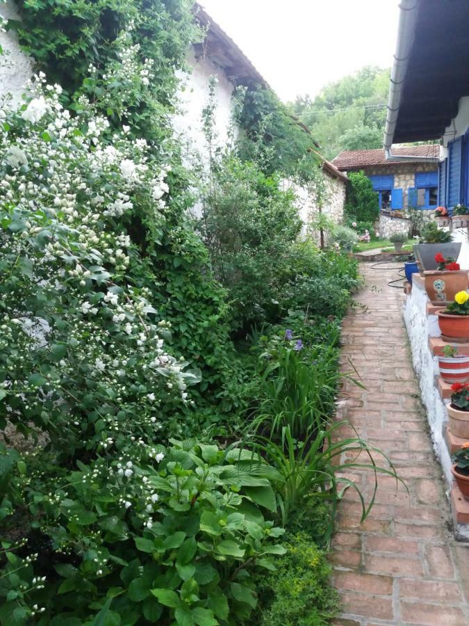 Casa Anca Cheile Nerei Villa Sokolar Buitenkant foto