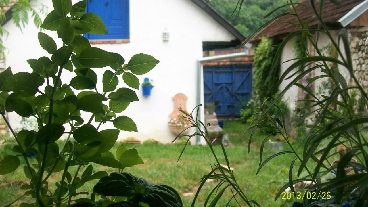 Casa Anca Cheile Nerei Villa Sokolar Buitenkant foto