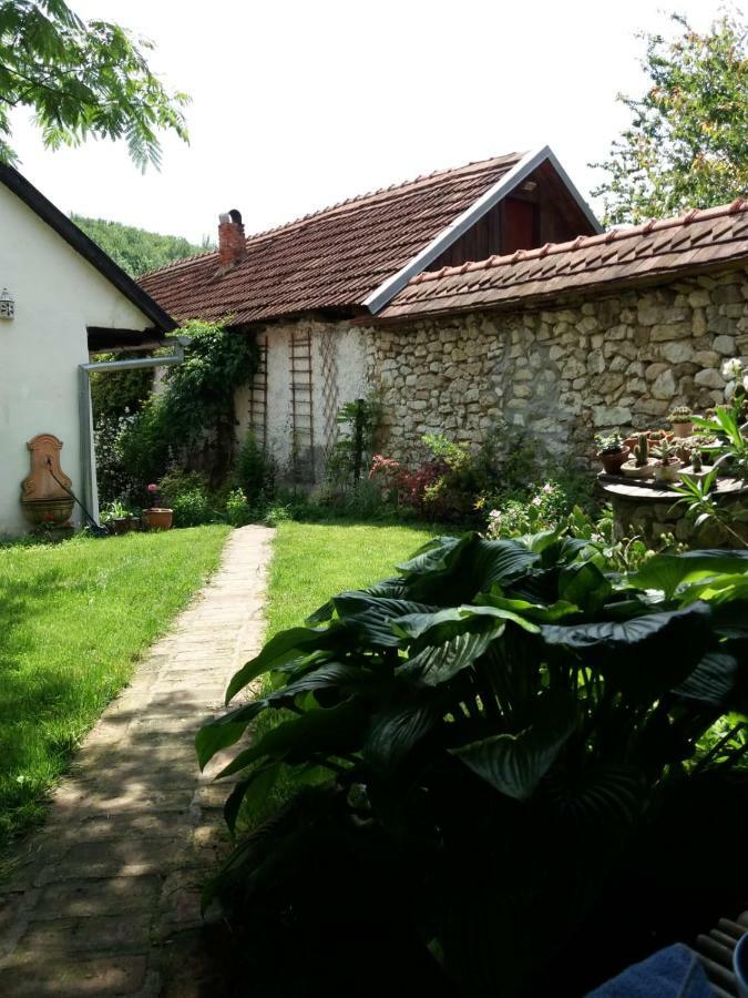 Casa Anca Cheile Nerei Villa Sokolar Buitenkant foto