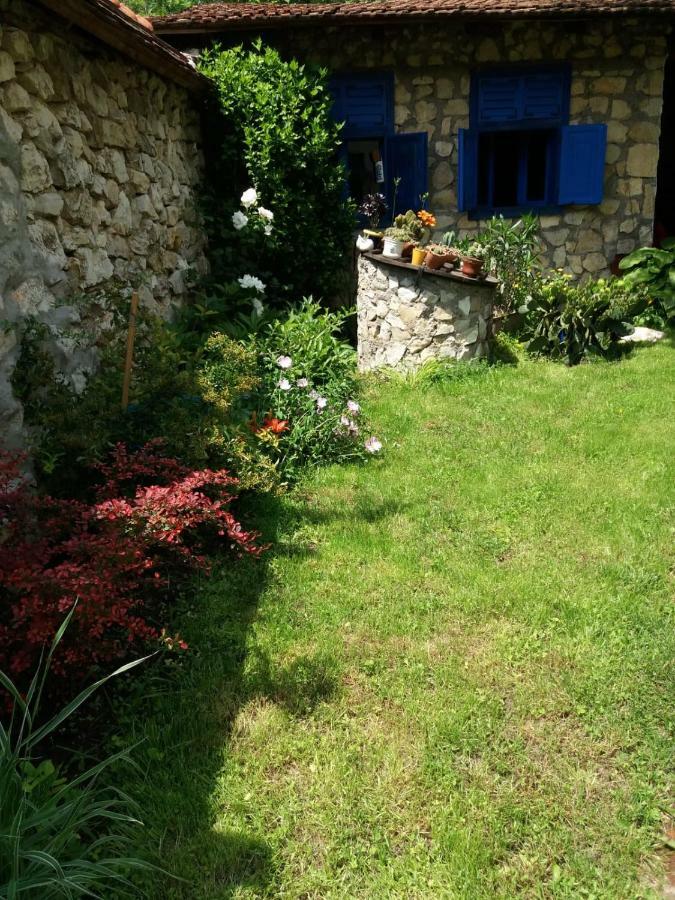 Casa Anca Cheile Nerei Villa Sokolar Buitenkant foto