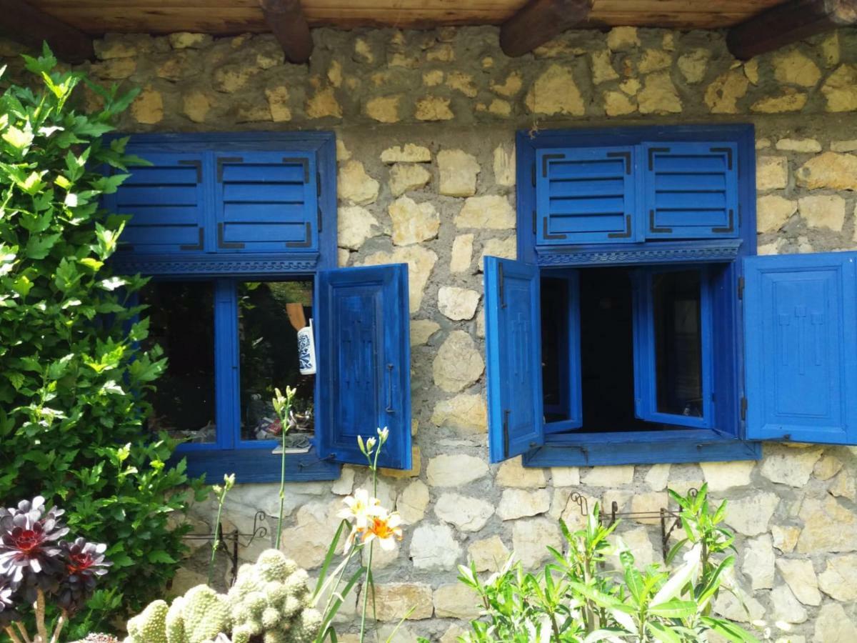 Casa Anca Cheile Nerei Villa Sokolar Buitenkant foto